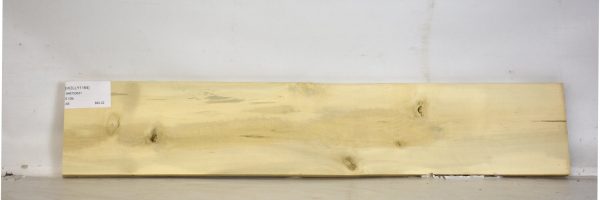 HOLLY1164_2