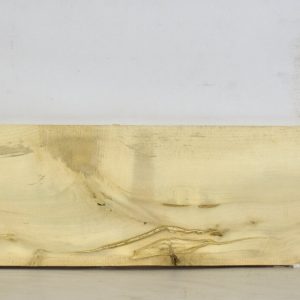 HOLLY1165_1