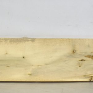 HOLLY1166_1