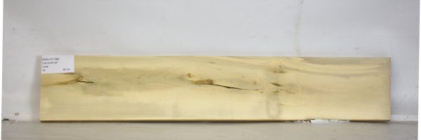 HOLLY1166_2