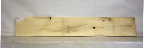 HOLLY1167_1