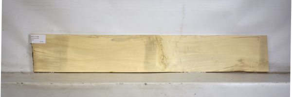 HOLLY1168_2