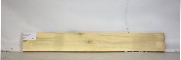 HOLLY1169_1