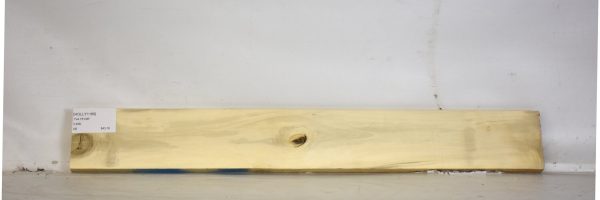 HOLLY1169_2