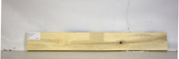 HOLLY1170_2
