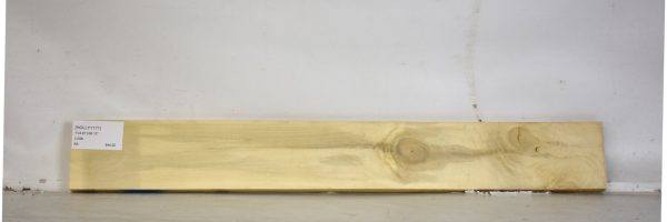 HOLLY1171_2