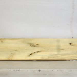 HOLLY1173_1