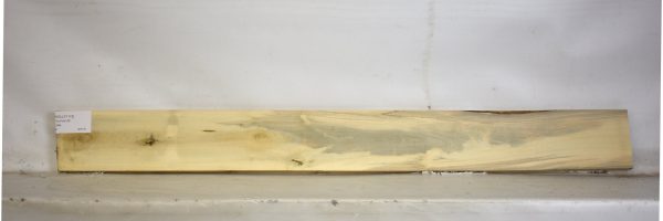 HOLLY1173_2
