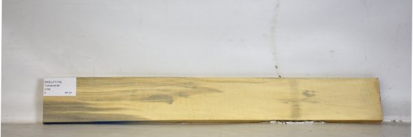 HOLLY1174_2