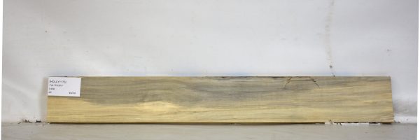 HOLLY1175_2