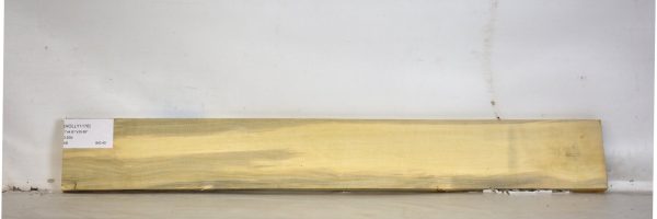 HOLLY1176_2