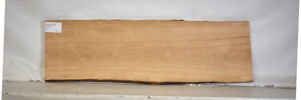 PEARSW1263_1