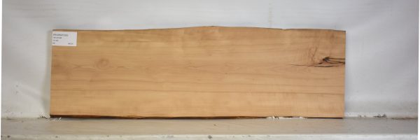 PEARSW1263_2