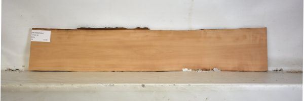 PEARSW1264_2