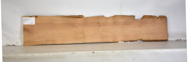 PEARSW1271_1