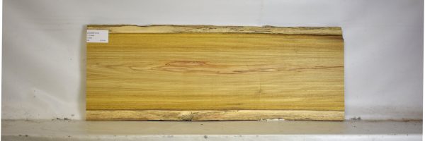 CANAR1270_2