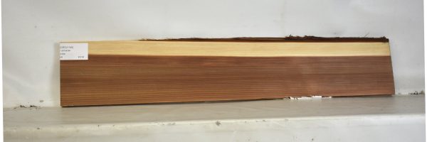 CEDJ1145_2