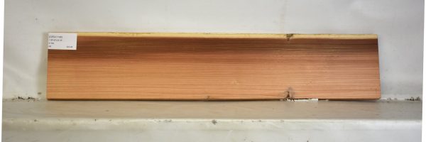 CEDJ1146_2