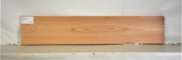 CEDJ1151_2