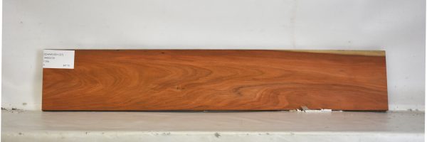 CHAKVIG1127_1