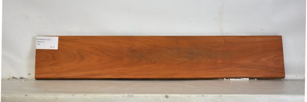 CHAKVIG1127_2