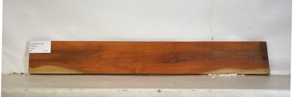 CHAKVIG1135_1