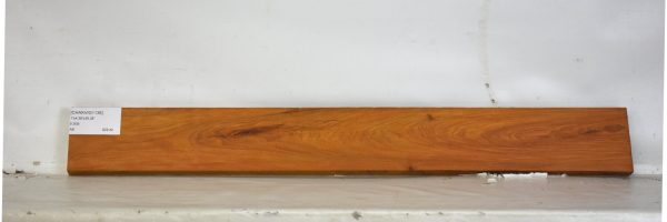 CHAKVIG1136_2