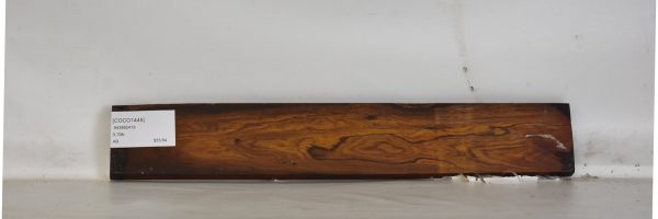 COCO1445_1