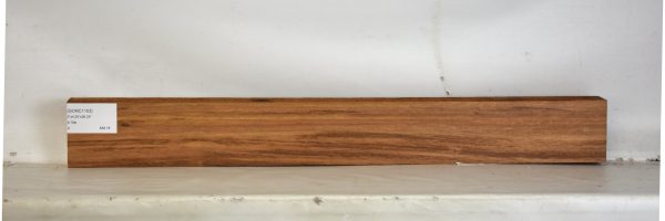 GONC1153_2