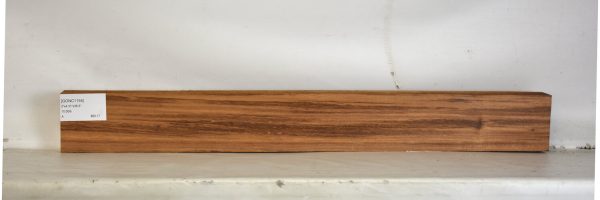 GONC1155_1