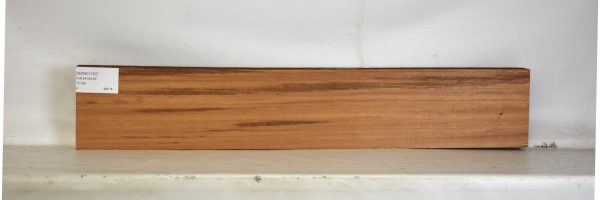 GONC1157_2