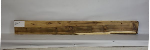 BWAC1210_2