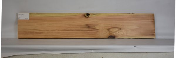 CEDJ1158_1