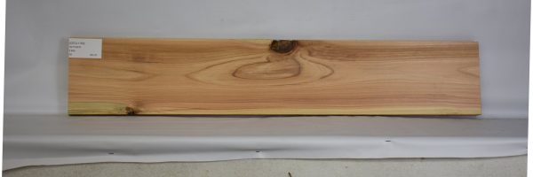 CEDJ1159_2