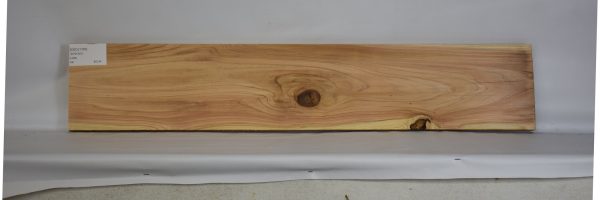 CEDJ1160_1