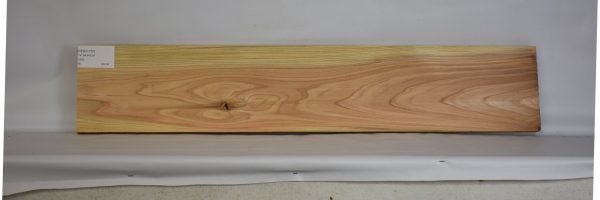 CEDJ1162_2