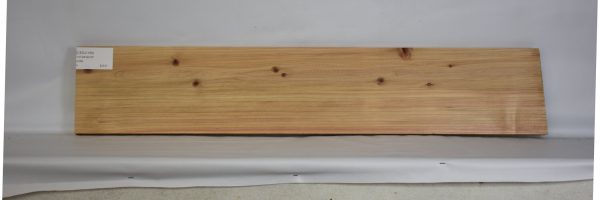 CEDJ1169_2