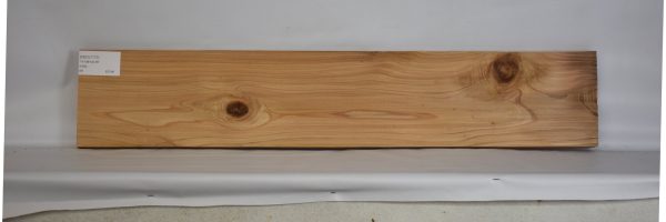 CEDJ1172_2