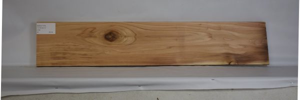 CEDJ1174_2