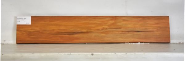CHAKVIG1146_2
