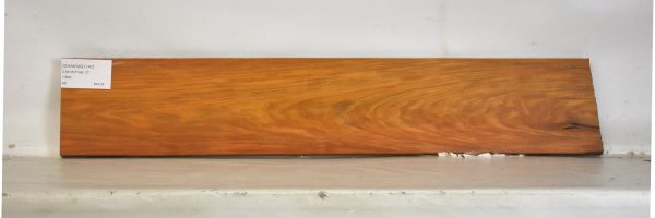 CHAKVIG1147_2