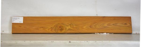 CHAKVIG1153_2