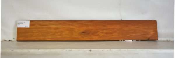 CHAKVIG1159_2
