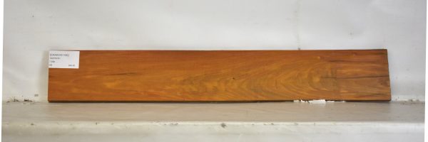 CHAKVIG1160_2