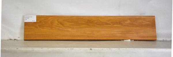 CHAKVIG1163_2