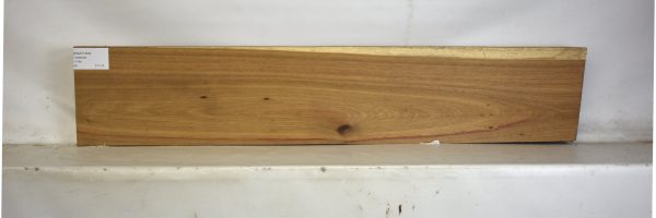 KIAAT1300_2