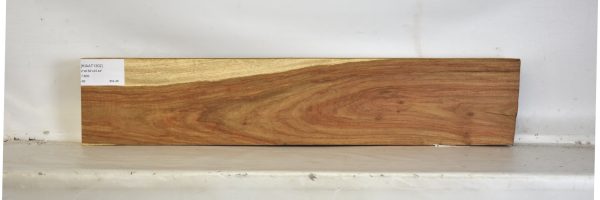KIAAT1302_2