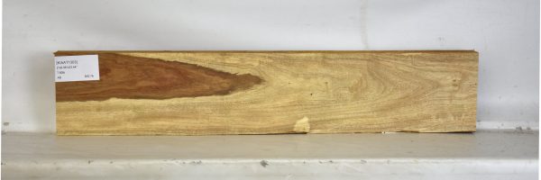 KIAAT1303_1