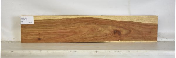 KIAAT1303_2