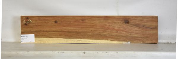 KIAAT1304_1